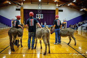 HEE HAW, ON THE COURT.