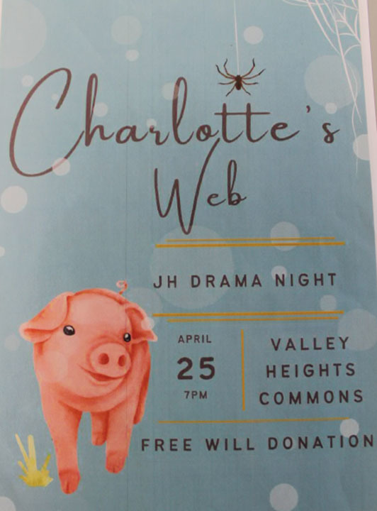 Picture of the Jr High play poster