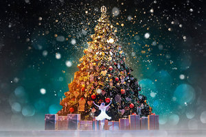 Most Wonderful Time of the Year