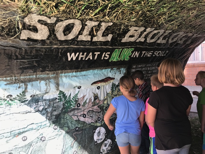Colts Round-Up learning in the soil tunnel! 